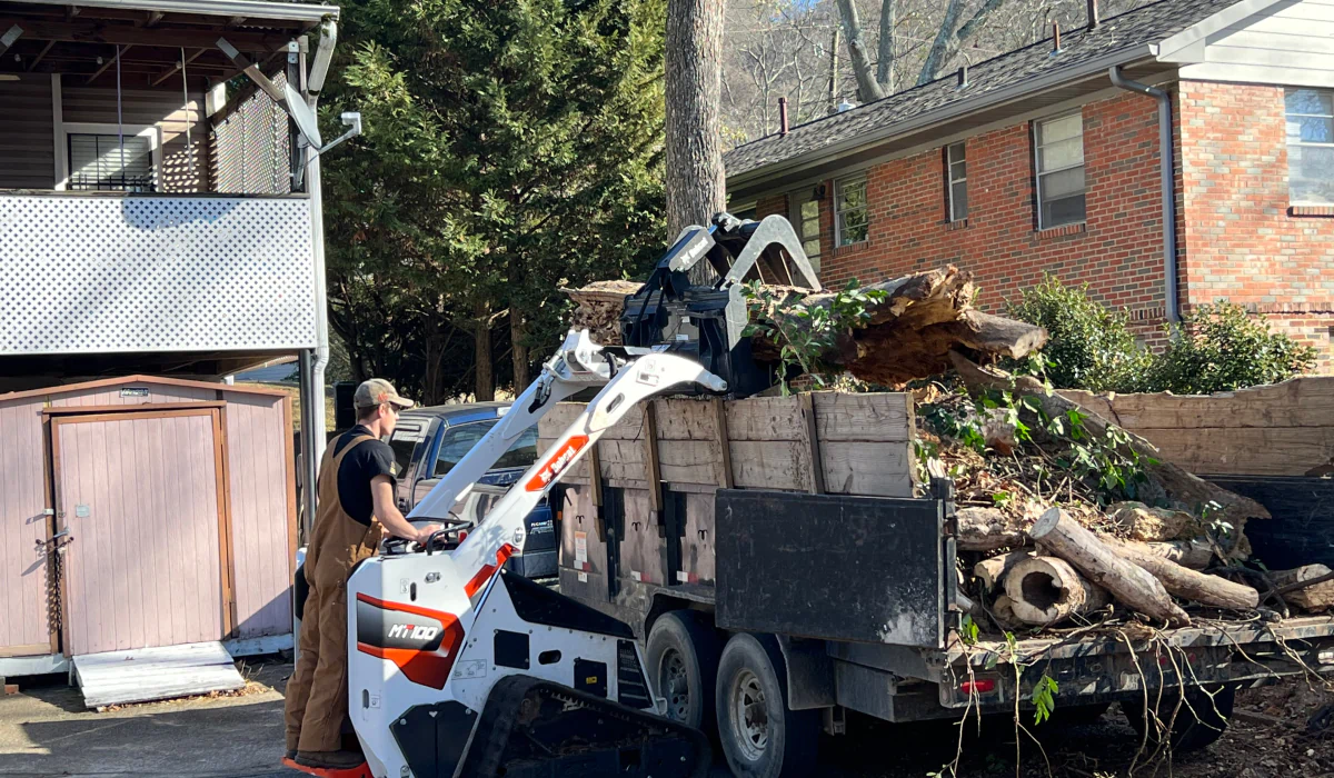 trees being removed from residence