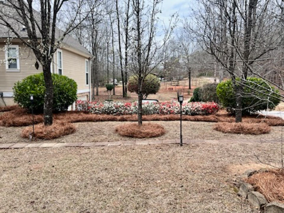 landscaping service new installation